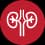 Nephrology icon